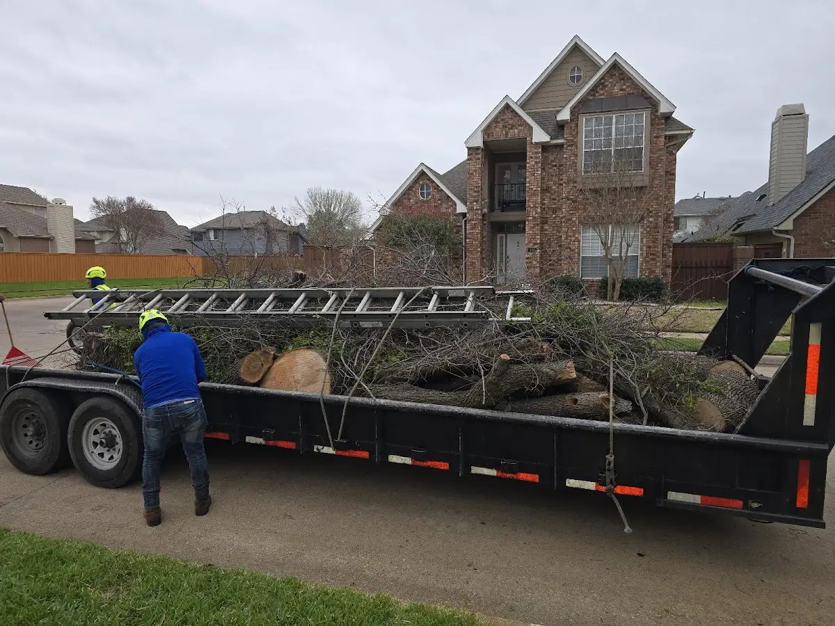 Expert Tree Removal with proper safety equipment in Hopkinsville